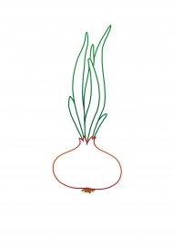 Луковица карандашом