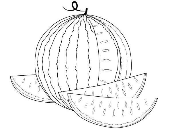 Арбуз раскраска