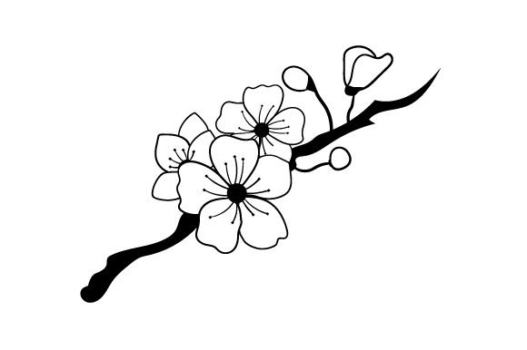 Ветка Сакуры раскраска