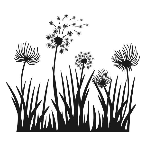 Одуванчик раскраска