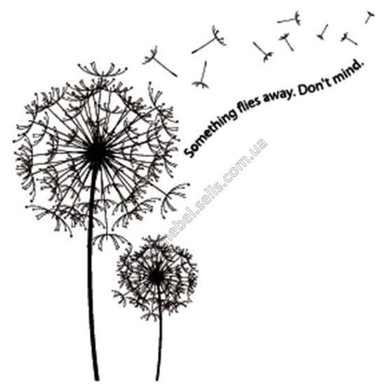 Одуванчик раскраска для детей