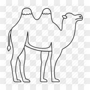 Рисование верблюда