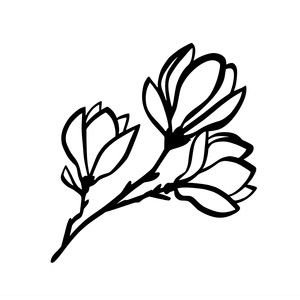 Магнолия трафарет