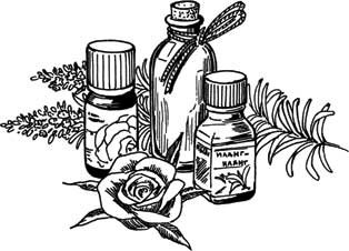 Косметика контурный рисунок (56 фото)