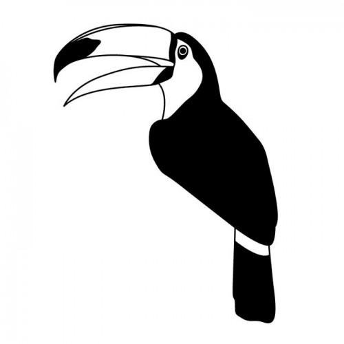 Птицы. Раскраска