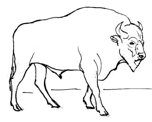 Силуэты животных ЗУБР