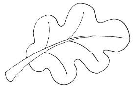 Лист дуба трафарет