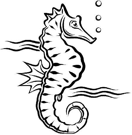 Трафареты морские коньки и водоросли