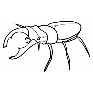 Нарисовать жука геркулеса