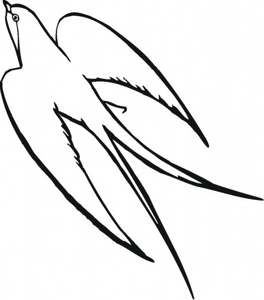 Контур ласточки для раскрашивания