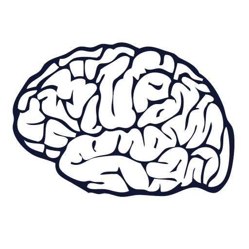 Очертания мозга