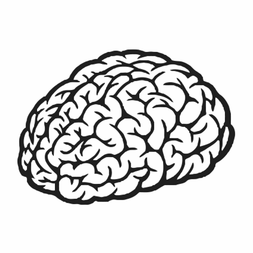Мозг черно белый