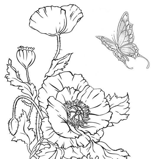 Трафарет цветов для рисования красками