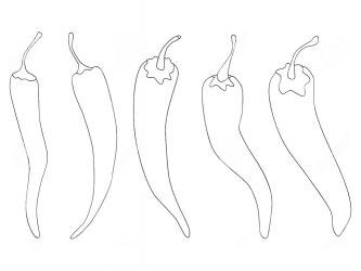 Перец Чили раскраска 1