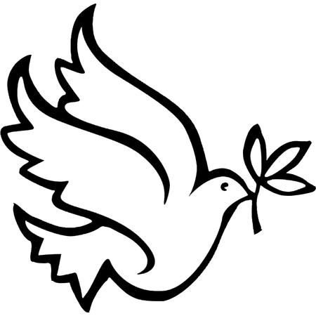 Контур голубя на прозрачном фоне