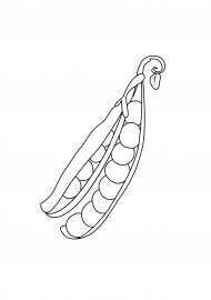 Горох раскраска