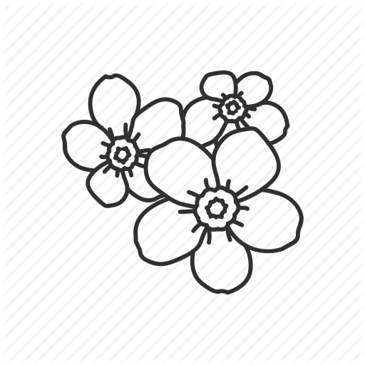 Раскраска для детей Незабудка вектор