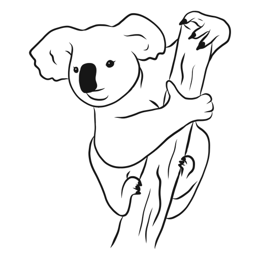 Раскраска Куала