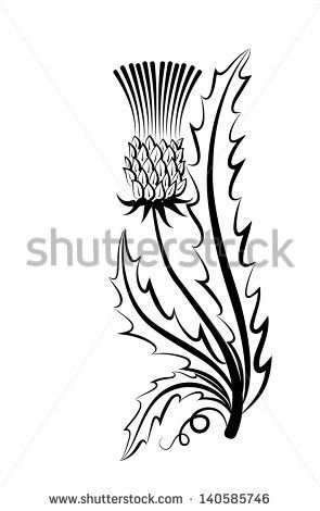 Чертополох символ Шотландии раскраска