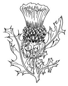 Орнамент вертикальный чертополох