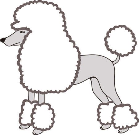 Аппликация пудель