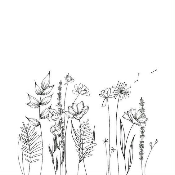 Полевые цветы Графика