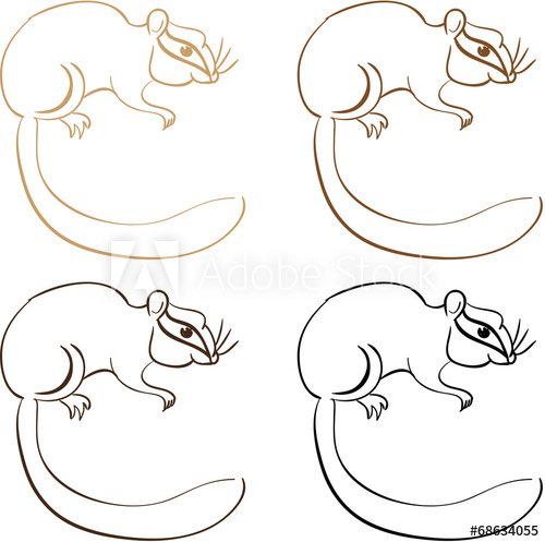 Лесная Соня нарисовать