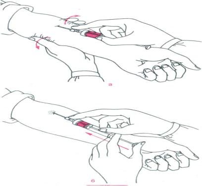 Поэтапное рисование дерева