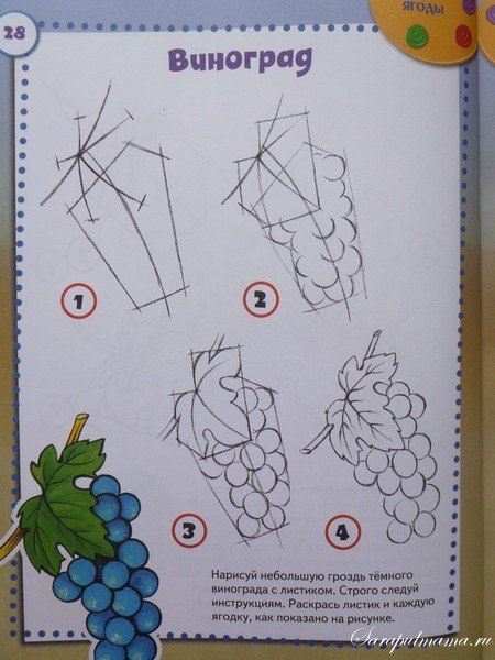 Поэтапное рисование клубники