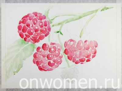 Малина раскраска