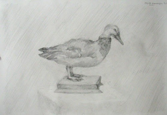 Силуэтные зарисовки чучела птицы