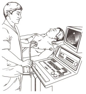 Подготовка пациента к ультразвуковому исследованию сердца