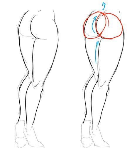 Рисование бедер