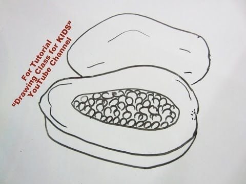 Пошаговый рисунок карандашом папайя