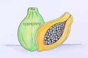 Стилизация папайи