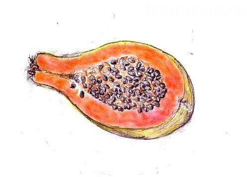 Мультяшный фрукт папайя