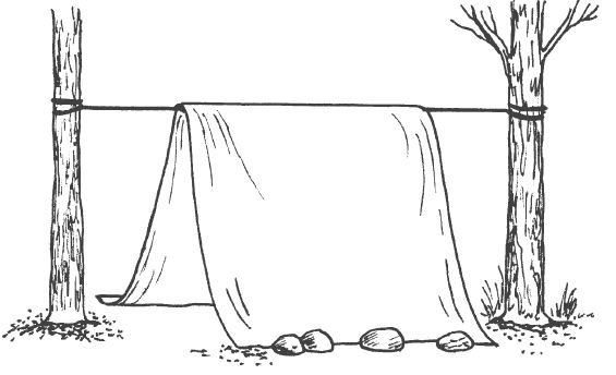 Бивак рисунок