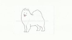 Самоед рисунок карандашом поэтапно