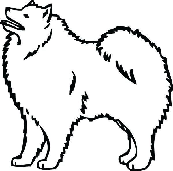 Самоед силуэт