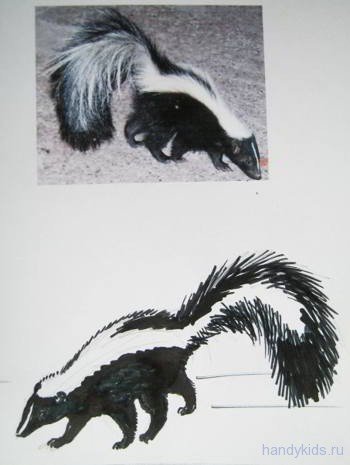 Легкий рисунок скунса