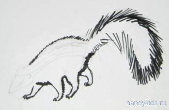 Что нарисовать скунса красками