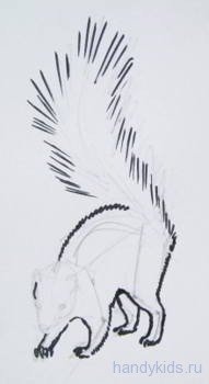 Как рисовать скунса