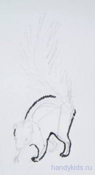 Нарисовать скунса поэтапно