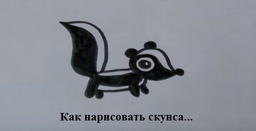 Как нарисовать скунса