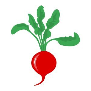Редис мультяшный