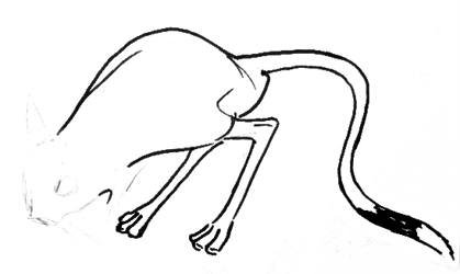 Рисунки тушканчика легкие