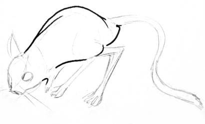 Легкий рисунок тушканчика