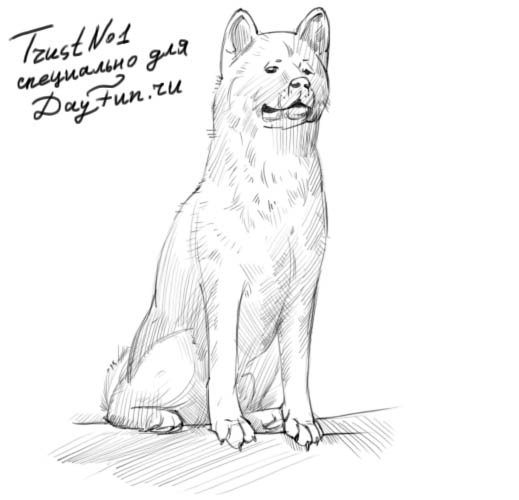 Памятник Хатико рисунок