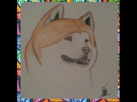 Хатико срисовка легко