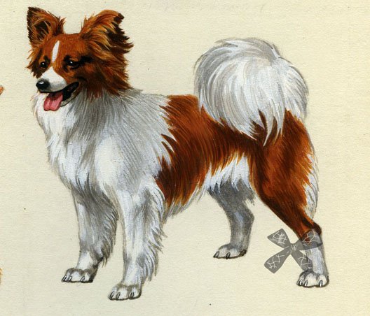 Картина 1500 годов папильона